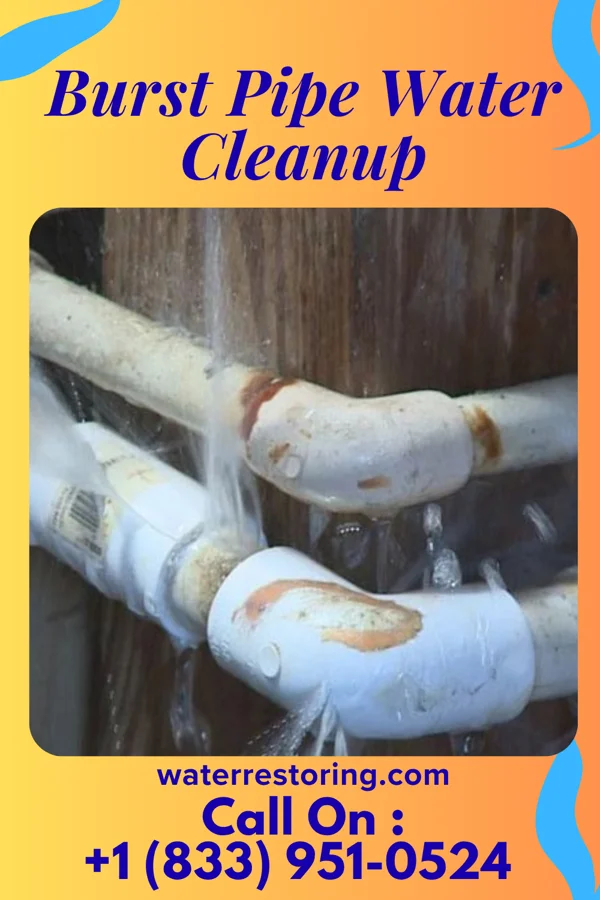 Burst Pipe Water Cleanup in Charmwood, MO