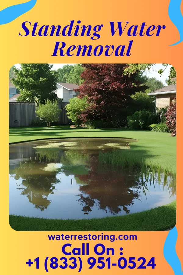 Standing Water Removal in Charmwood, MO